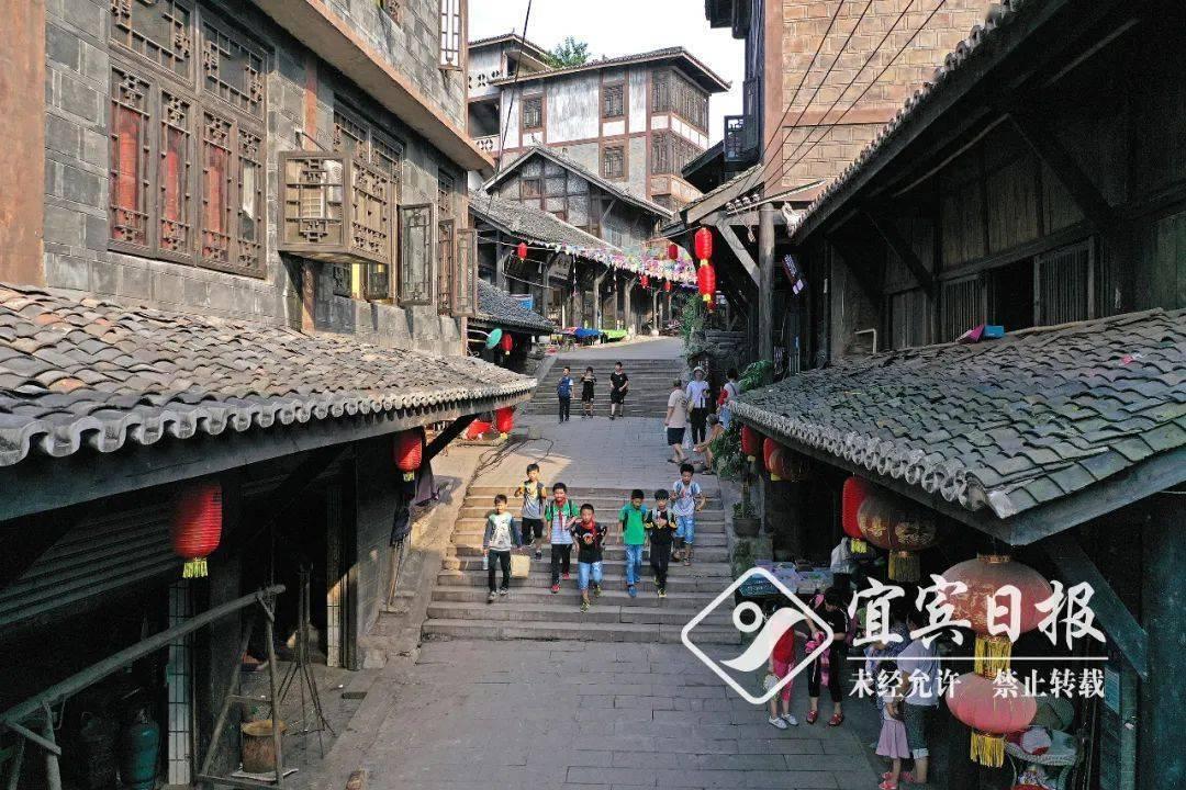 三亚海域惊现剧毒水母? 官方:系蓝瓶僧帽水母 毒性较小
